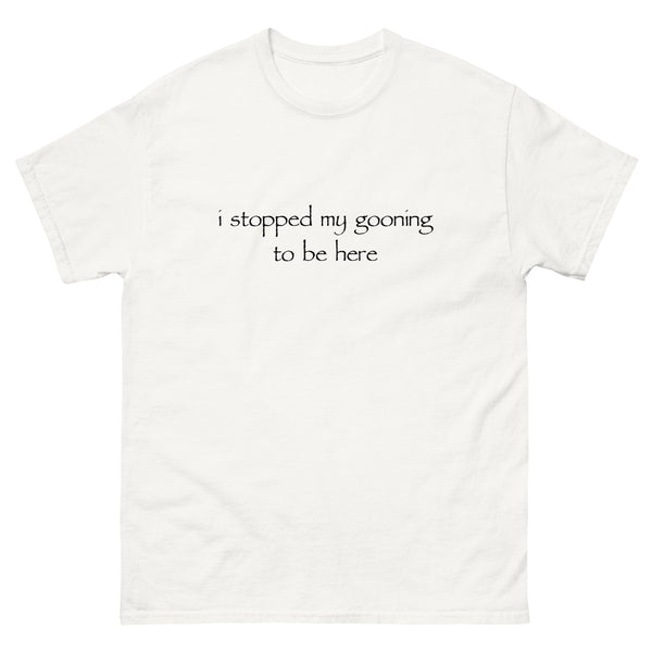 I Stopped My Gooning T-Shirt